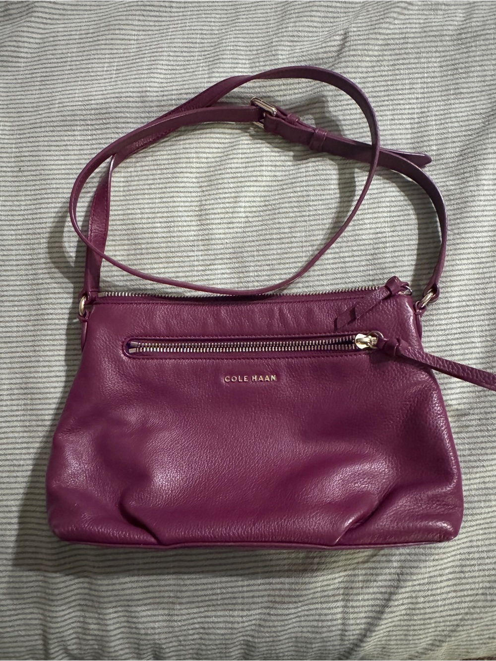 Cole Haan Purple Leather Crossbody Bag